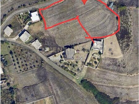 SHITET TOKE ME PAME LIQENI NE ARAPAJ 4319M2