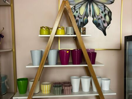 💎 FLOWER BUSINESS FOR SALE💎