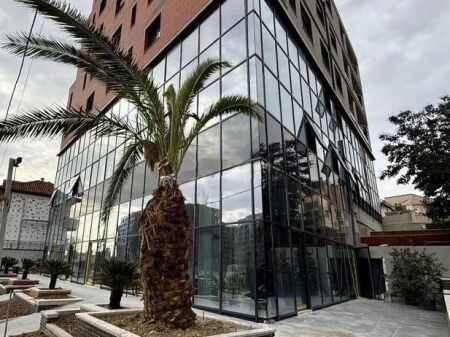 JEPET ME QIRA NJESI KOMERCIALE, ALI DEMI