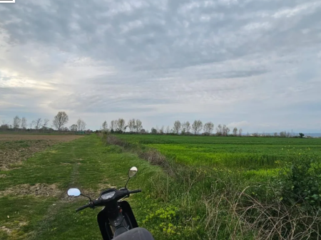 Shitet Toke Are ne Fllake