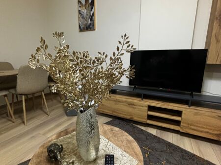 HOUSE FOR RENT – KAVAJËS STREET (OPPOSITE DELIJORGJI)