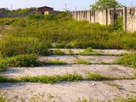 Shitet Tokë + Shtëpi  – Tale, Lezhë