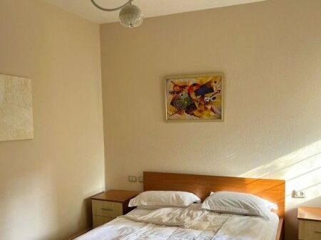 Apartament 1+1 ne rrugen Mine Peza!