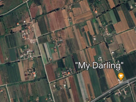 SHITET TOKE NE TALE,LEZHE