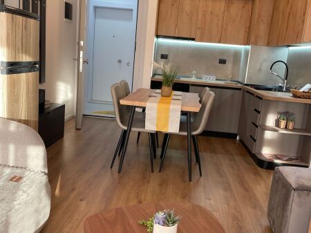 Apartment 1+1 for rent