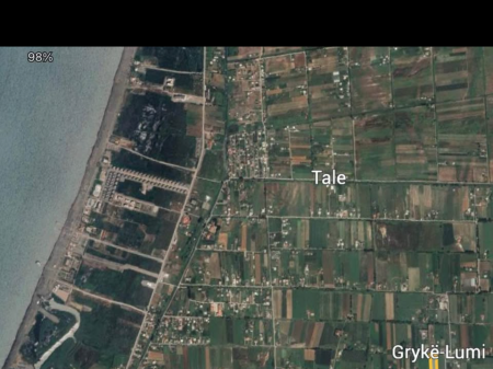 SHITET TOKE NE TALE,LEZHE