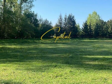 SHITET TOKE 1.400 M2 LIQENI I THATE 360.000 EURO