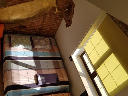 Qera | Garzoniere | Qender | 500 €/muaj