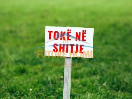 Shitet, Toke, Kombinat