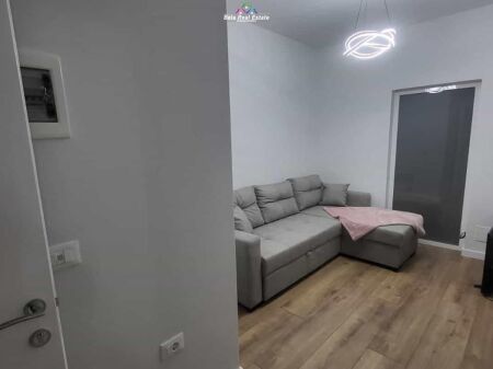 Vile me qera 1+1 Tek Ish Parku (ID BV22608) Tirane