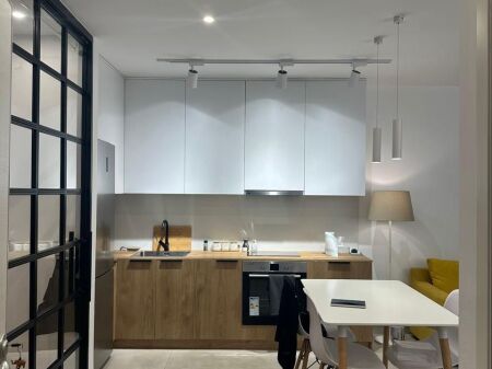 Apartment 1+1 for rent in Myslym Shyr!