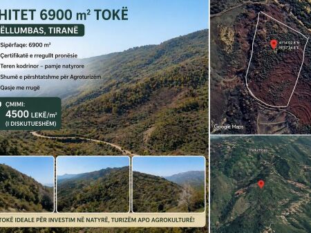 Shitet 6900 m2 tokë në Pëllumbas ,Tiranë  !