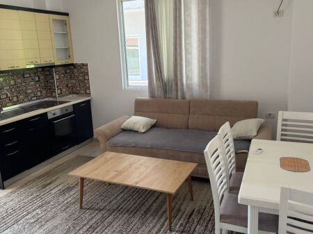 Apartment 1+1 for rent 5 May !