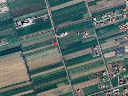 SHITET TOKE 7782 M2 - XHAFZOTAJ, SHIJAK   • Cmimi: 25 €/ m²