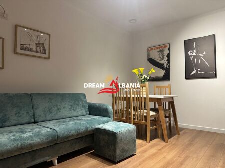 Apartment 1+1 with yard for rent near 21 Dhjetori close to Mondial (ID 4219487)
