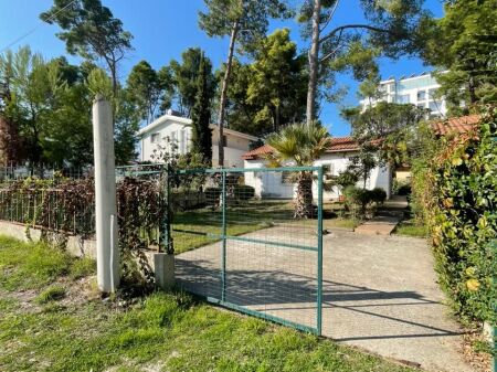 SHITET VILA 1 KATESHE GOLEM VIJE E 3-TE ME DETIN