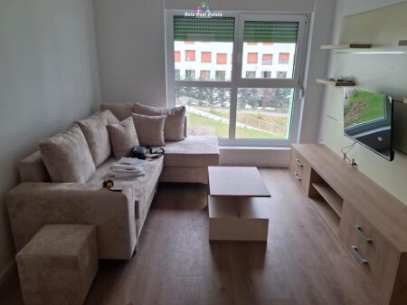 Appartamento In Affitto 1+1 A Ali Demi (ID B2101662) Tirana