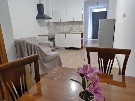 PRIVATE HOUSE 1+1 FOR RENT - AGRICULTURAL INSTITUTE, KAMEZ