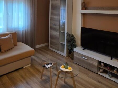 🏡 Jepet me Qira Apartament 2+1 – Liqeni Artificial