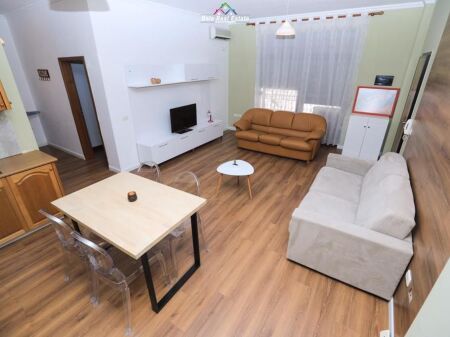 Apartament Me Qera 1+1 Ne Qender (ID B210739) Tirane.