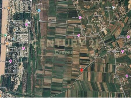 GJIRI LALZIT, SHESIM TOKE