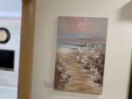 Shitet, Apartament 3+1+2, Porcelan, Tiranë