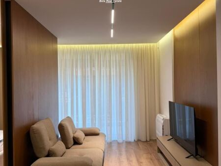 Studio apartments for rent at the Former Aviation Field (ID BG172) Tirana