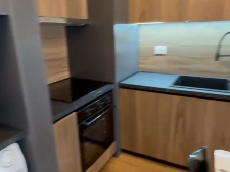 Apartment 1+1 for rent