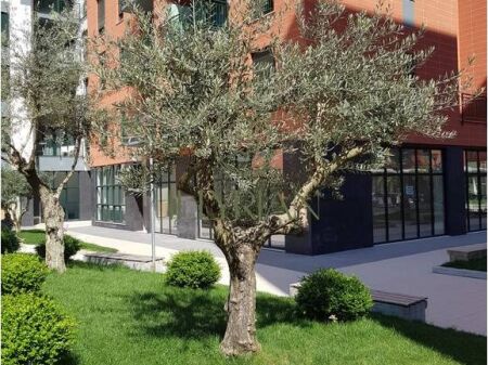 Locale commerciale in vendita a Green City – Tirana