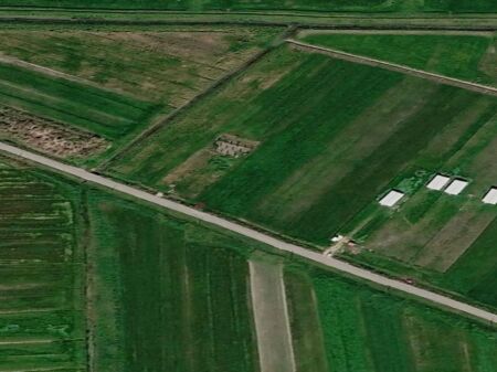 SHITET TOKE NE GOLEM, KAVAJE