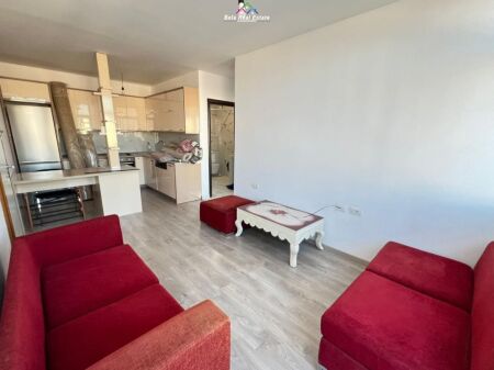 Apartament Me Qera 1+1 Tek Vasil Shanto (ID B2101675) Tirane