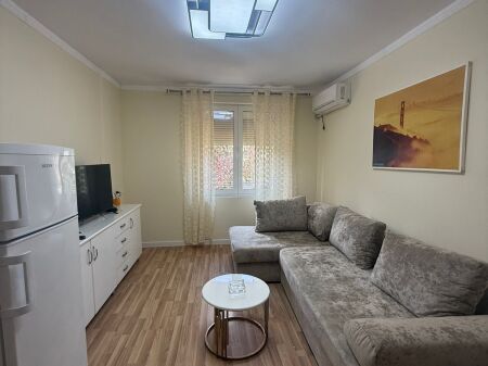 Apartment 1+1 for rent near Dinamo Stadium
