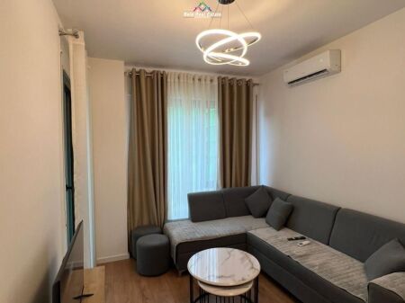 Appartamento In Affitto 1+1 A 5 Maj (ID B2101682) Tirana
