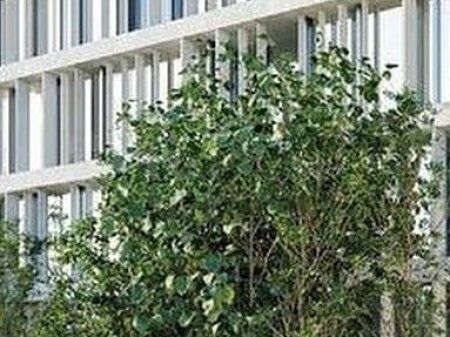 Appartamento 1+1 + Lavanderia in vendita - Lion Park 3 Residence  Prezzo speciale