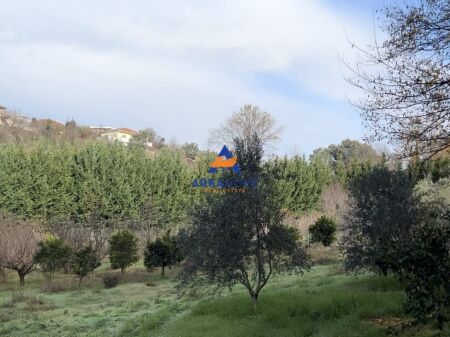 TERRENO IN VENDITA 2000 M2 "PRUSH" 260.000 EURO