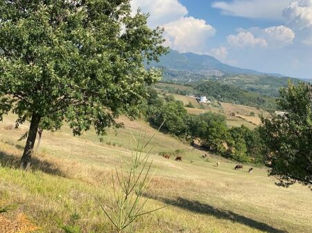 TERRENO IN VENDITA, VICINO AL VILLAGGIO FIKAS