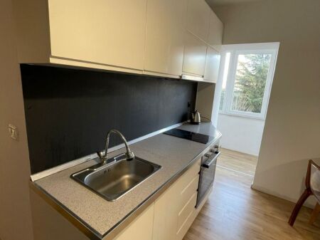 Apartment 1+1 for RENT on Elbasanit Street