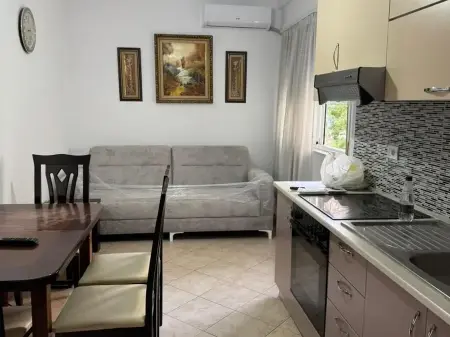 Apartment for rent Tirana 1+1 (55 m²) Commune of Paris