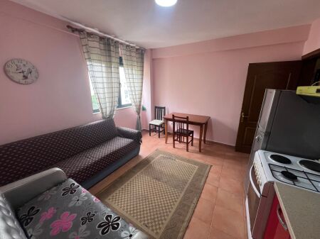 Apartment 1+1 for rent