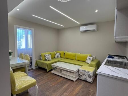 Vile Me Qera 2+1 Ne Sauk te Ri (ID BV22622) Tirane