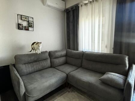 Shitet 1+1 te Marteniteti i Ri, 120.000€