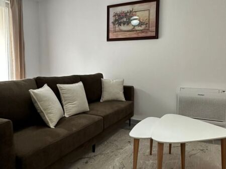 Super apartment for rent 1+1 Laprake