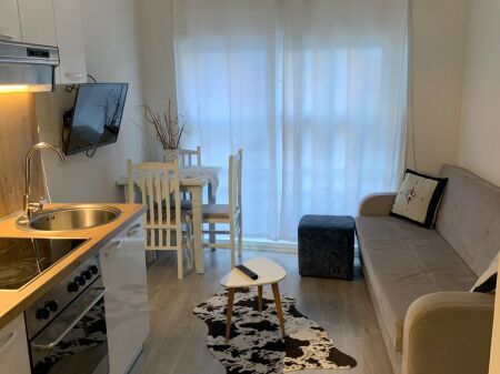 Apartment 1+1 for rent