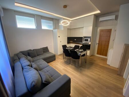 Apartment For Rent 1+1 Near Dry Lake (ID B2101638) Tirana