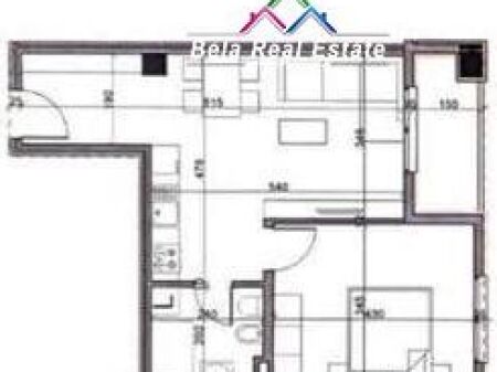 Apartament Ne Shitje 1+1 Ne Paskuqan (ID B110580) Tirane