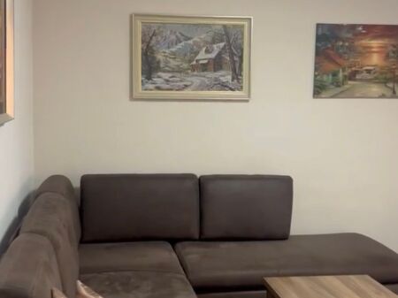 appartamento in affitto 1+1 Piazza Willson