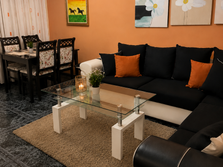 55000 Leke  / per month   Apartment 2+1 for rent