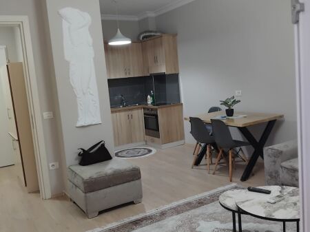 Apartment 1+1 for rent Ali Demi