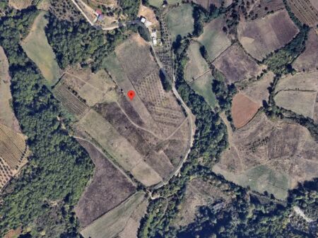 SHITET TOKE 11300 M - DAIAS, TIRANE