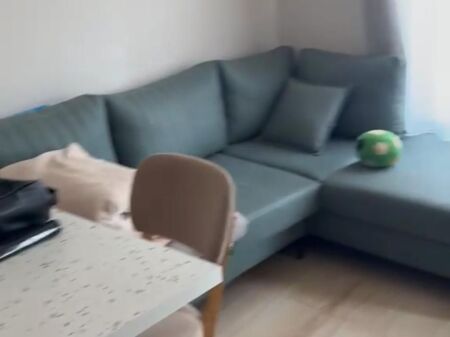 Affitto | Apartament 1 + 1 | Rruga Karl Gega | 450 €/mese